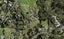 398 Redoubt Road, Totara Park, Auckland - Carousel 1