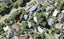 1/21 Walnut Lane, Browns Bay, Auckland - Carousel 1