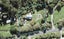 28 Hobbs Road, Matakatia, Whangaparaoa - Carousel 1