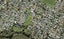 28 Waione Avenue, Te Atatu Peninsula, Auckland - Carousel 1