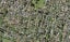 6 Bagnall Avenue, Point England, Auckland - Carousel 1