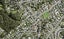 30 Castleford Street, Green Bay, Auckland - Carousel 1