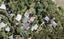 36 Opou Road, Titirangi, Auckland - Carousel 1