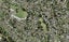 9B Tuakana Street, Point England, Auckland - Carousel 1