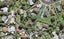 22 Chippendale Crescent, Birkdale, Auckland - Carousel 1