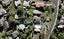 599B Blockhouse Bay Road, Blockhouse Bay, Auckland - Carousel 1