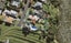 2/5 Waimana Avenue, Northcote Point, Auckland - Carousel 1