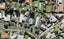49 Graham Avenue, Te Atatu Peninsula, Auckland - Carousel 1