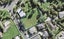 4 Namsan Close, Fairview Heights, Auckland - Carousel 1