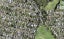 44 Whitehaven Road, Glendowie, Auckland - Carousel 1