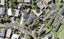 2B Cardinal Place, Glendowie, Auckland - Carousel 1