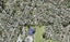 13 Firle Place, Green Bay, Auckland - Carousel 1