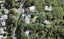 634 South Titirangi Road, Titirangi, Auckland - Carousel 1