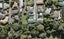 25A Tirimoana Road, Te Atatu South, Auckland - Carousel 1
