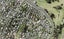 24 Morton Avenue, Forrest Hill, Auckland - Carousel 1