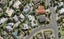 3 Rifleman Rise, Unsworth Heights, Auckland - Carousel 1