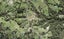 683 Ridge Road, RIVERHEAD, ALBANY - Carousel 1