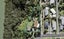 29 Tawa Road, Te Atatu Peninsula, Auckland - Carousel 1