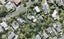 55 Hebron Road, Waiake, Auckland - Carousel 1