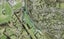 10A Anzac Valley Road, Waitakere, Auckland - Carousel 1