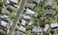 20 Shortt Avenue, Mangere Bridge, Auckland - Carousel 1