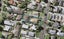 17 Ropata Avenue, Point England, Auckland - Carousel 1