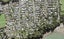 1A Cliff View Drive, Green Bay, Auckland - Carousel 1