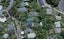 28 Havelock Street, Mornington, Wellington - Carousel 1