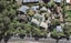 19 Highbury Bypass, Birkenhead, Auckland - Carousel 1
