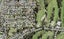 36 Cutler Street, New Lynn, Auckland - Carousel 1