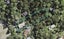 4 Aydon Road, Titirangi, Auckland - Carousel 1