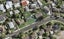 19A Bedlington Avenue, Manurewa, Auckland - Carousel 1