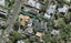 23A Seaview Road, Remuera, Auckland - Carousel 1