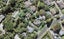 1/15 West Lynn Road, Titirangi, Auckland - Carousel 1