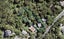 733 South Titirangi Road, Titirangi, Auckland - Carousel 1