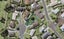17A Altair Place, Windsor Park, Auckland - Carousel 1