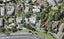 609 East Coast Road, Browns Bay, Auckland - Carousel 1