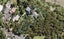 42 Opou Road, Titirangi, Auckland - Carousel 1