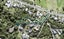 53 Roberts Road, Matakatia, Whangaparaoa - Carousel 1