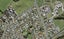 7 Kamaka Road, Mangere Bridge, Auckland - Carousel 1