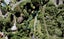 57 Endeavour Street, Blockhouse Bay, Auckland - Carousel 1