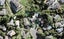 21 Clensmore Place, Torbay, Auckland - Carousel 1