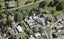 12 Gregg Place, Sunnyvale, Auckland - Carousel 1