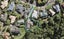99 Bushlands Park Drive, Albany, Auckland - Carousel 1