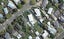 11 Todd Place, Richmond - Carousel 1