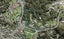 156 Schnapper Rock Road, Schnapper Rock, Auckland - Carousel 1