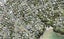 1A Gray Crescent, Torbay, Auckland - Carousel 1