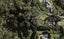 4 Annmarie Avenue, Flat Bush, Auckland - Carousel 1