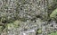 1/47 Taupo Street, Green Bay, Auckland - Carousel 1