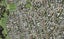 48 Lewisham Street, Highland Park, Auckland - Carousel 1